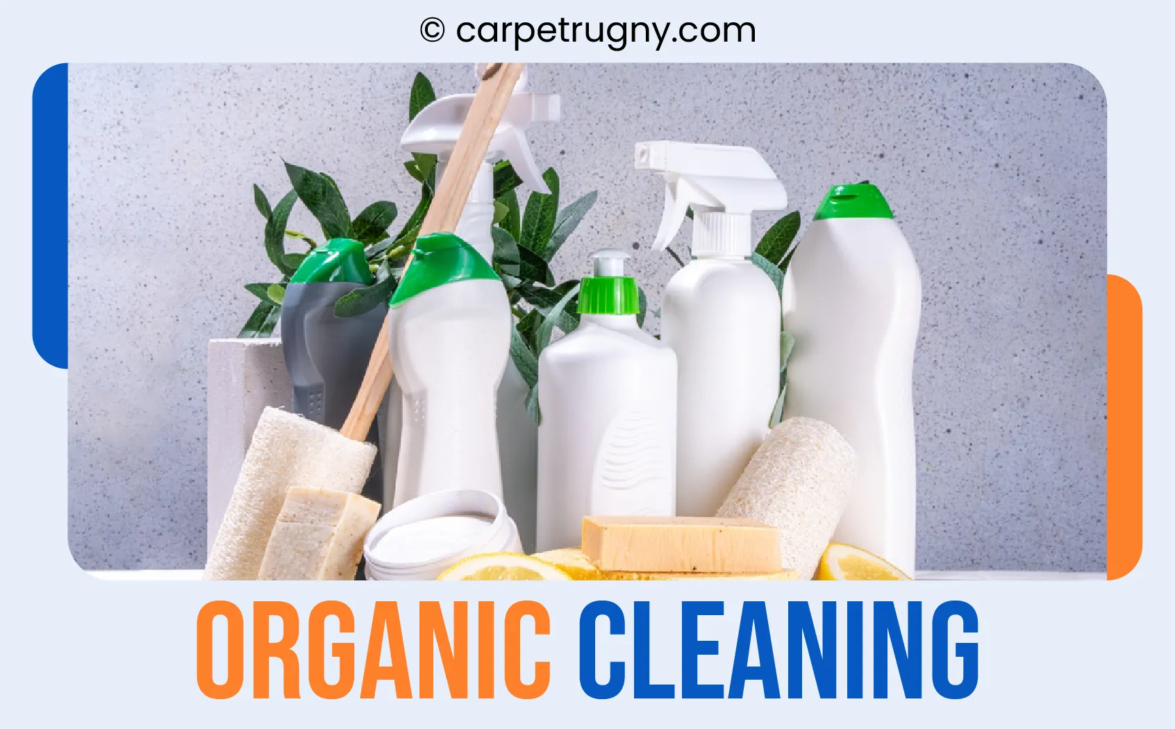 carpet cleaning in NY, carpet cleaning in new york, carpet cleaning NY, carpet cleaners in NY, carpet cleaners in new york, commercial carpet cleaning, commercial carpet cleaning in NY, NY rug cleaners, rug cleaning services in NY, same day carpet cleaning, same day rug cleaning